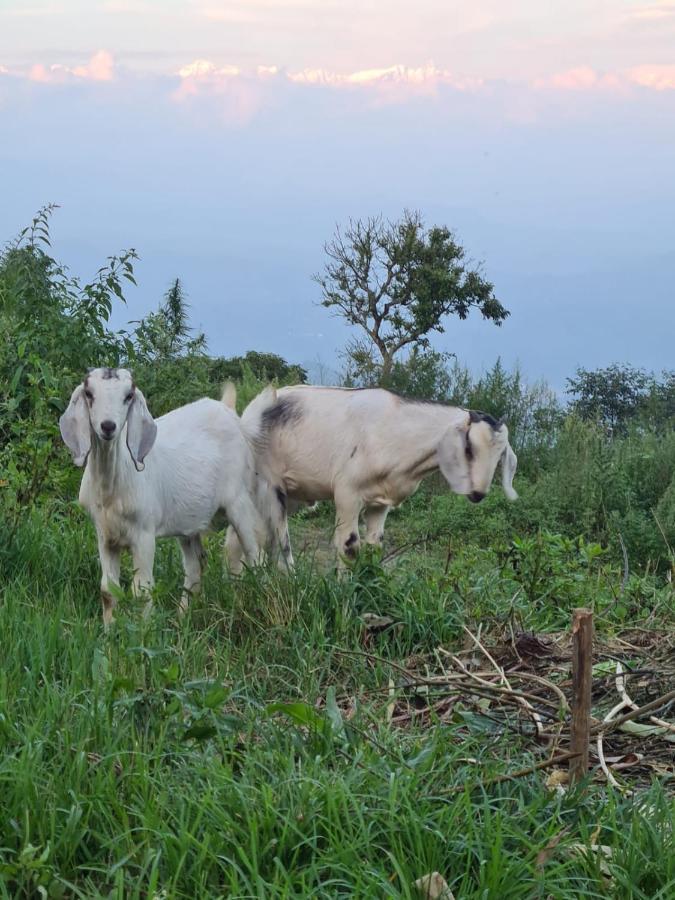 Nagarkot Trekkers Inn Ngoại thất bức ảnh